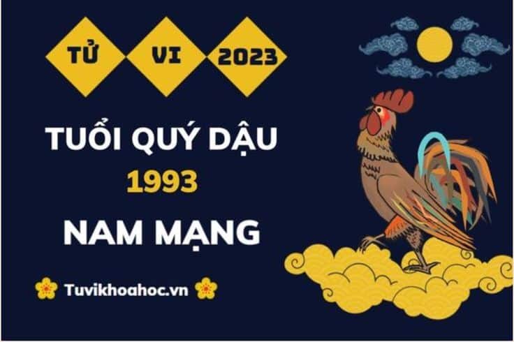 1993 Mệnh Gì? Nam, Nữ Quý Dậu 1993 Hợp Với Tuổi Nào?