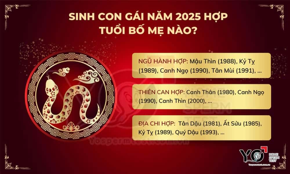 Năm 2025 Là Năm Con Gì Và Mệnh Gì, Xem Tuổi Làm Nhà, Sinh Con Năm 2025