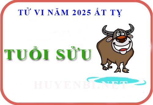 Tuổi 1997 Hợp Màu Gì? Màu Sắc May Mắn và Hợp Phong Thủy Tuổi Đinh Sửu 2025