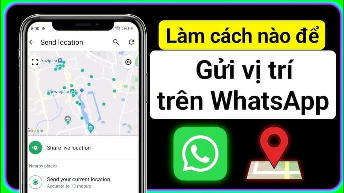 Cách gửi vị trí trên WhatsApp || Chia sẻ vị trí WhatsApp | . - YouTube