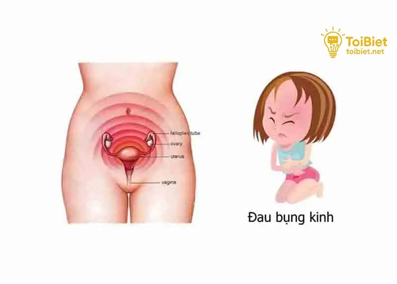 cach lam giam dau bung kinh tuc thi 68f09bb07e665