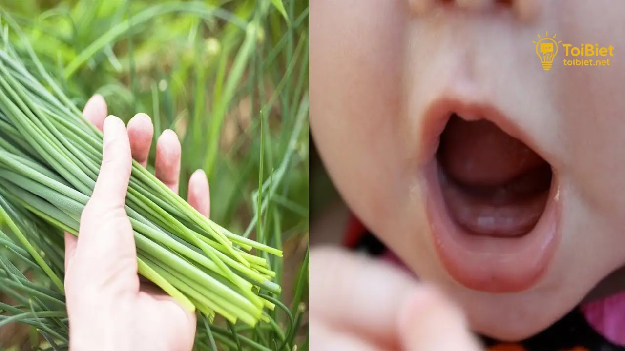 Cách Rơ Lưỡi Lá Hẹ Đúng Cách Để Tránh Sốt