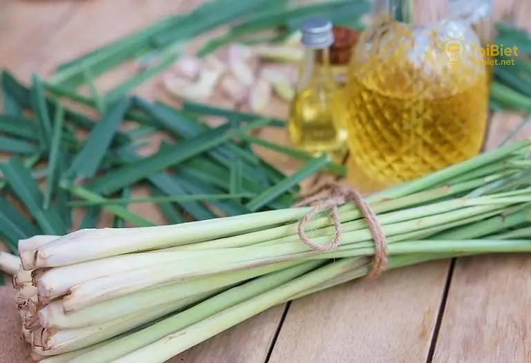 Cần Lưu Ý Gì Khi Sử Dụng Sả Chữa Rối Loạn Tiền Đình?