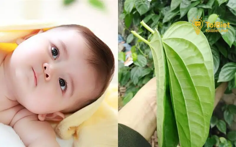 Thêm Một Vài Lưu Ý Quan Trọng