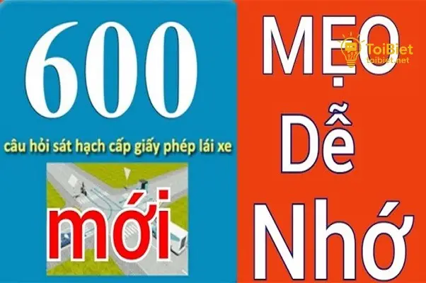 Phân Loại Câu Hỏi Chia Nhỏ Để Dễ Nuốt