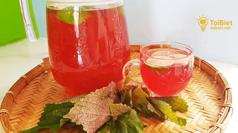 Lợi Ích Tiềm Năng Của Việc Uống Lá Tía Tô Hàng Ngày