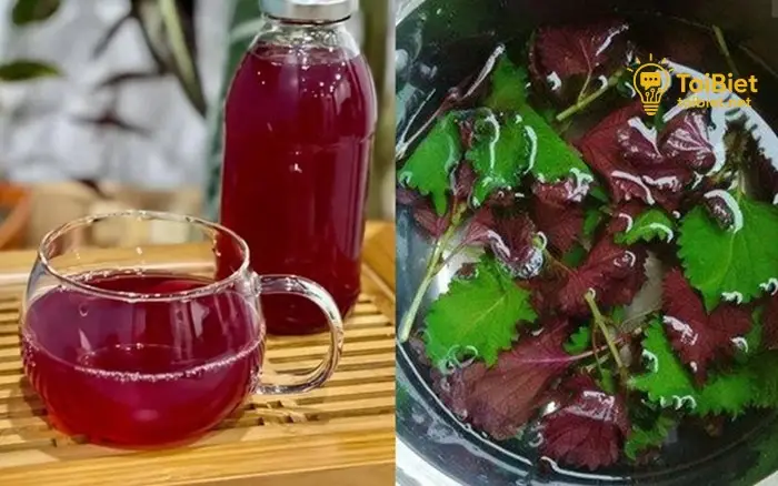 Hỗ Trợ Tiêu Hóa