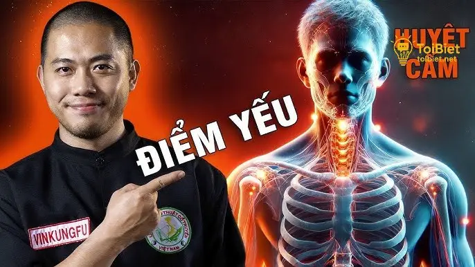 Những điểm yếu trên cơ thể cần tấn công khi gặp kẻ xấu 8 diem yeu tren co the can tan cong khi gap ke xau 694953c7501a2