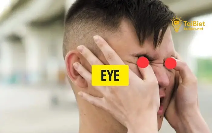 Các điểm yếu trên đầu và cổ